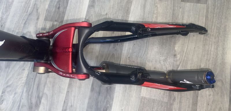 Specialized Epic Brain