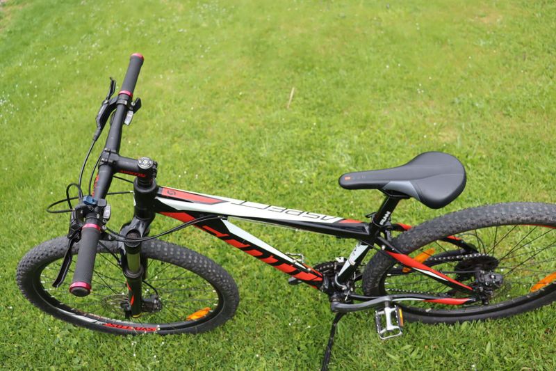 scott aspect