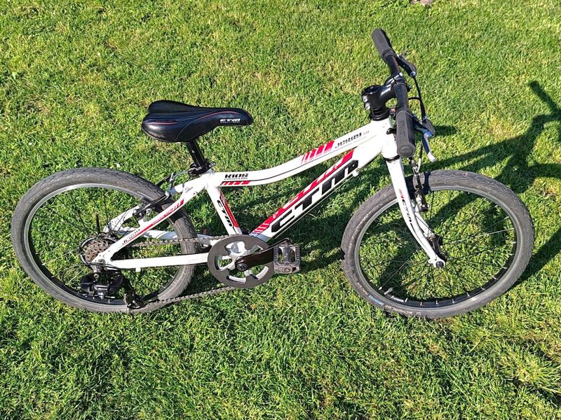CTM Jerry 20", páčkové řazení, 1x7 speed (14/34)