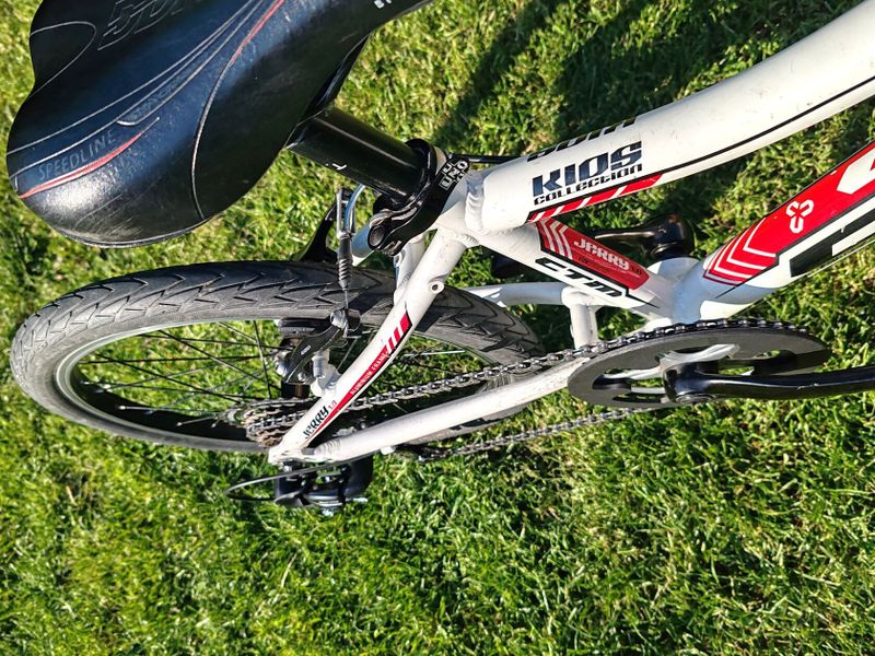 CTM Jerry 20", páčkové řazení, 1x7 speed (14/34)