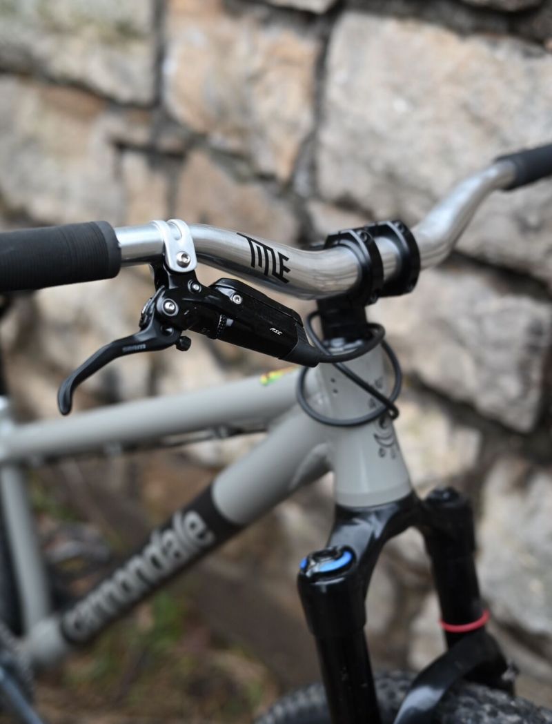 Cannondale dave frameset