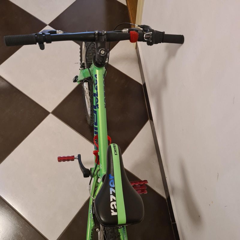 Dětské kolo Pells Razzer