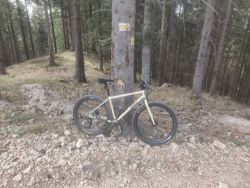 SURLY BRIDGE CLUB 