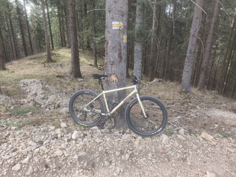 SURLY BRIDGE CLUB 