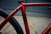 Stevens Gavere 