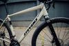 Stevens Gavere