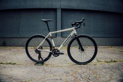 Stevens Gavere