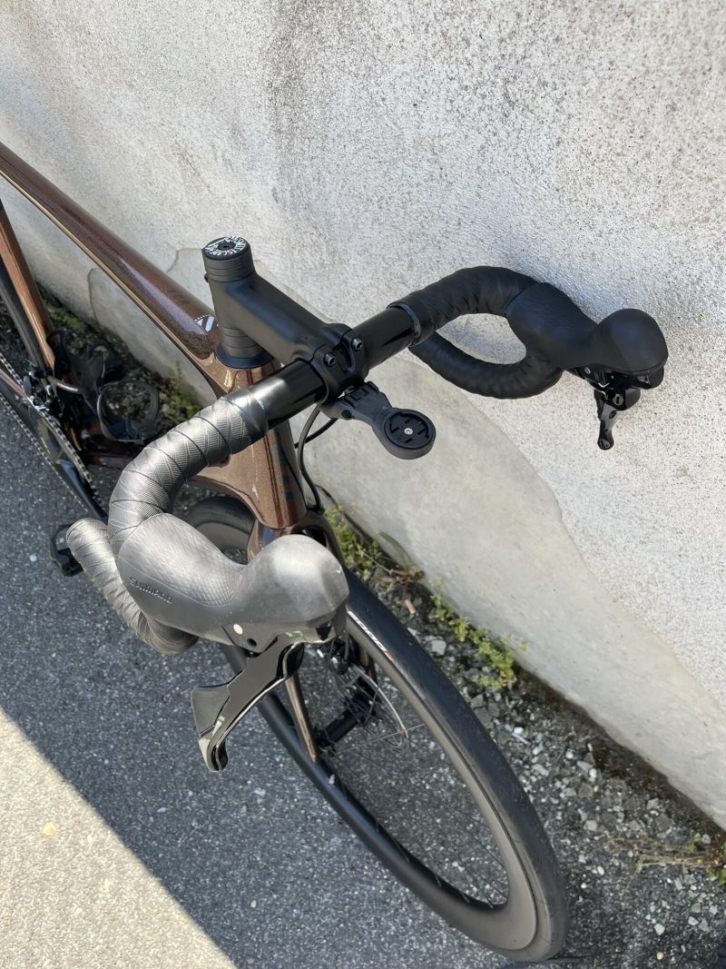 Giant TCR Advanced 2 Disc Pro Compact, L