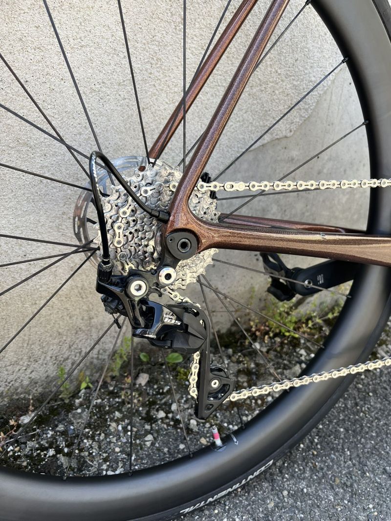 Giant TCR Advanced 2 Disc Pro Compact, L
