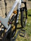 Canyon Torque Mullet CF Fabio Wibmer LTD (Shockwaves) 