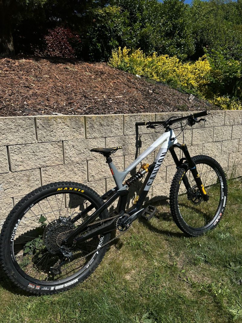 Canyon Torque Mullet CF Fabio Wibmer LTD (Shockwaves) 