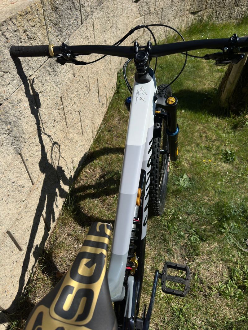 Canyon Torque Mullet CF Fabio Wibmer LTD (Shockwaves) 