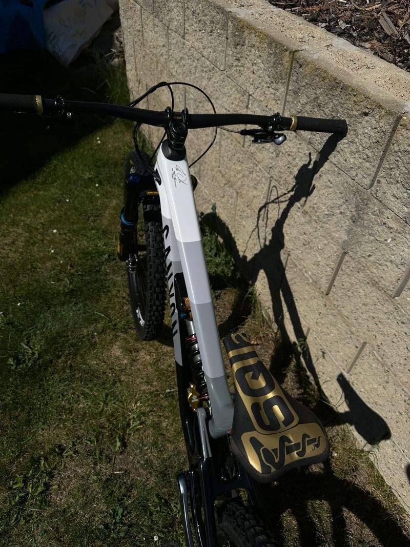 Canyon Torque Mullet CF Fabio Wibmer LTD (Shockwaves) 