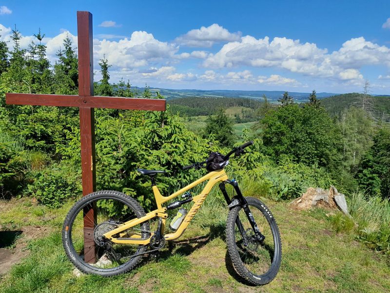 Canyon Torque AL 6