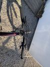 Orbea MX Team 24"