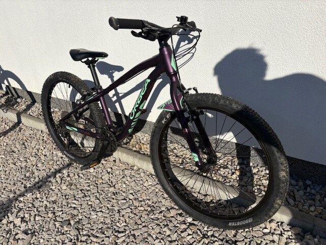 Orbea MX Team 24"