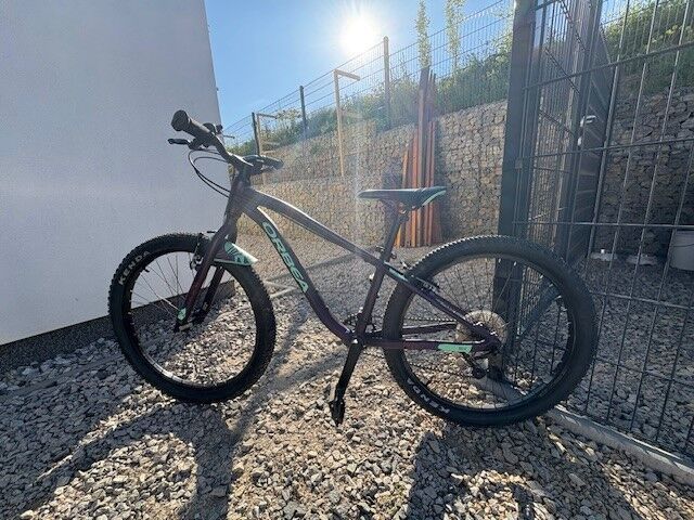 Orbea MX Team 24"