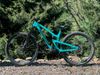 Prodám Propain Tyee CF 29 2022, velikost M