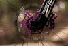 Prodám enduro kolo Evil Wreckoning v top stavu