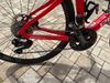 Pinarello 4/2024