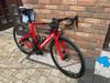 Pinarello 4/2024