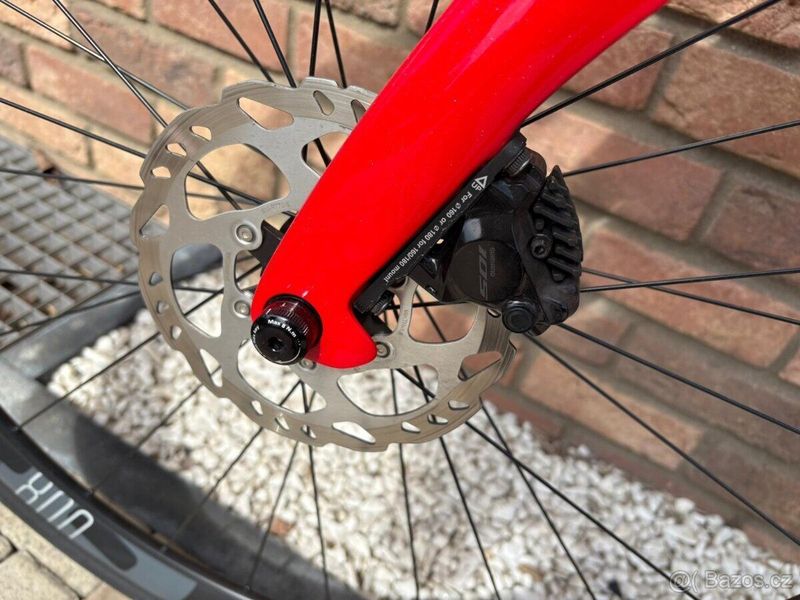 Pinarello 4/2024