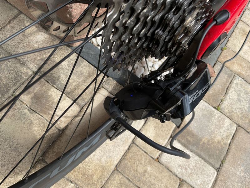 Pinarello 4/2024