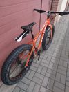 Fat bike