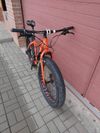 Fat bike