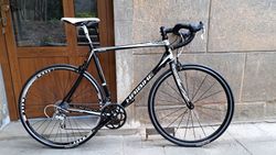 Haibike Q-Race XL, ALU 6061 + carbon