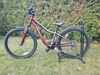 Specialized 
