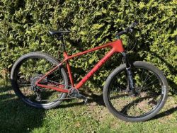 FOCUS Raven 8.8 AXS