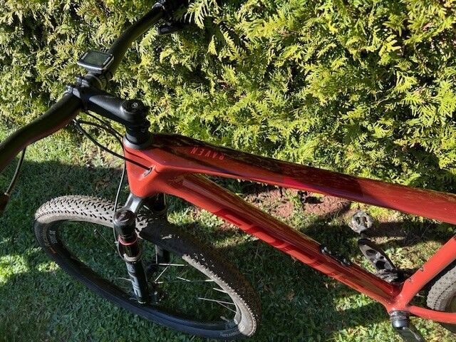 FOCUS Raven 8.8 AXS