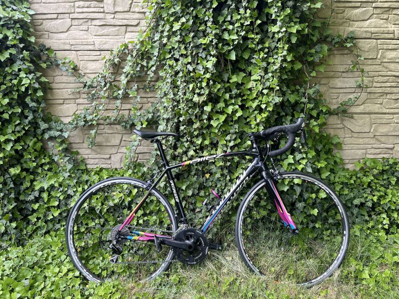 Specialized Allez vel. 54 