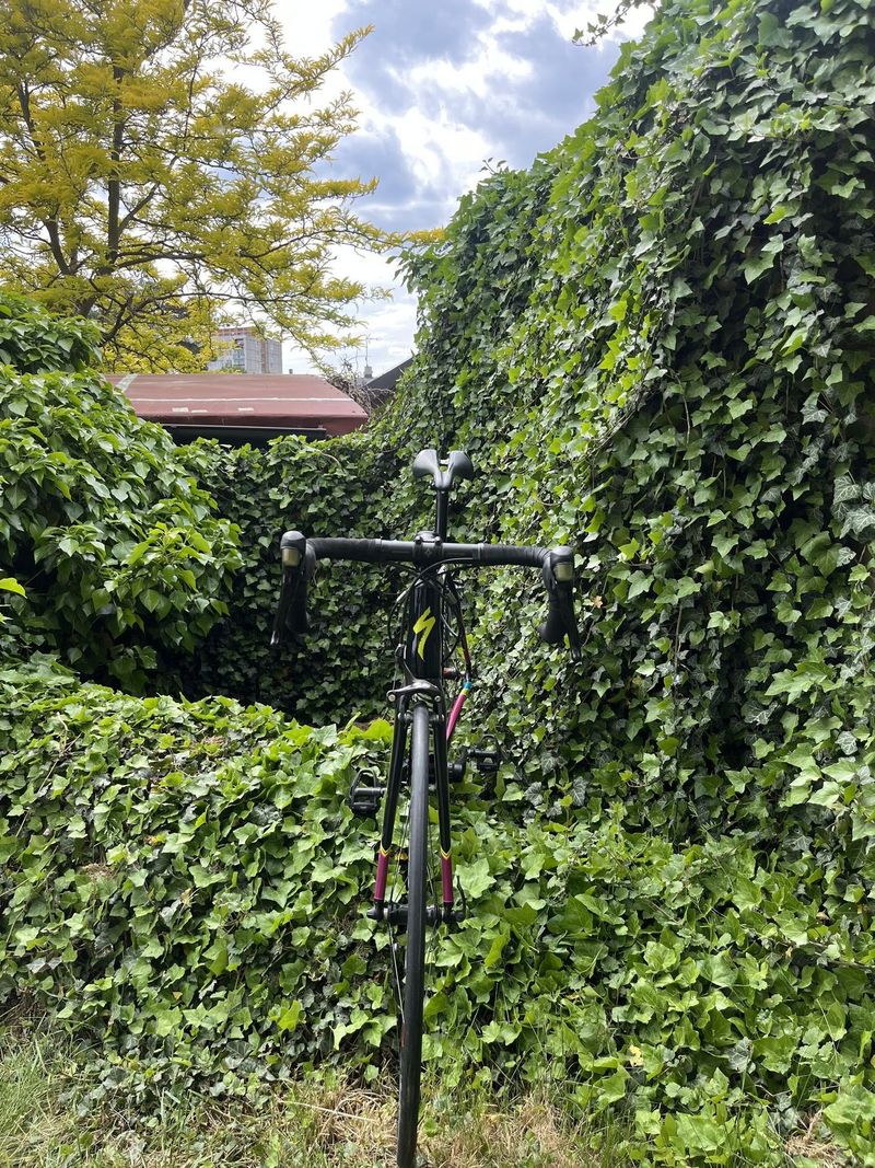 Specialized Allez vel. 54 