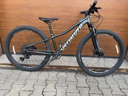 Rockhopper Expert 27.5 XS