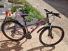 MTB Kolo