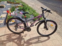 MTB Kolo
