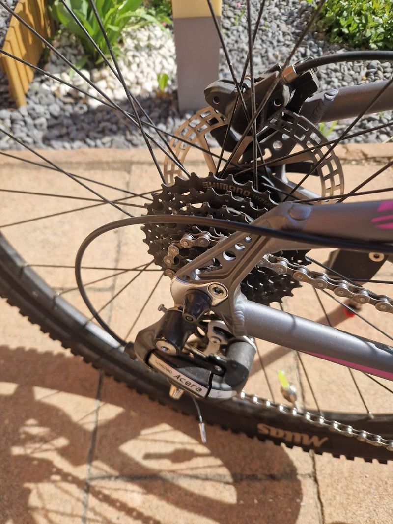 MTB Kolo