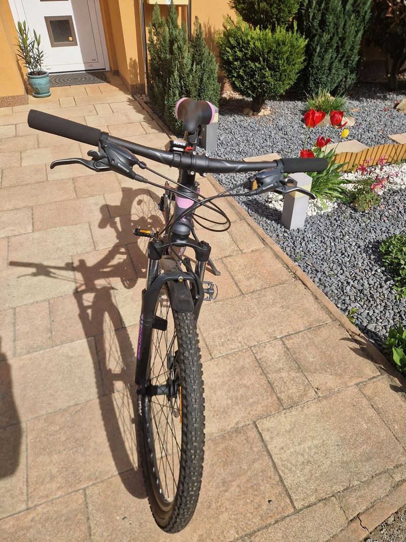 MTB Kolo