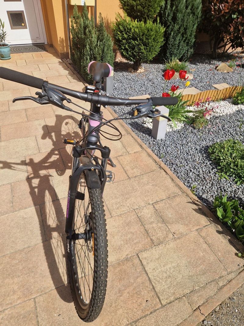 MTB Kolo