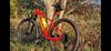Rockrider XC 120