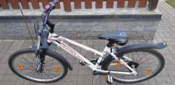 Kolo Leader Fox 26"