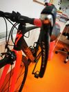 Specialized Smatwelo D´alusio