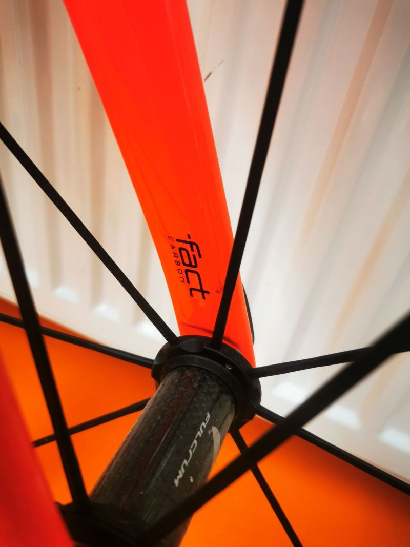 Specialized Smatwelo D´alusio