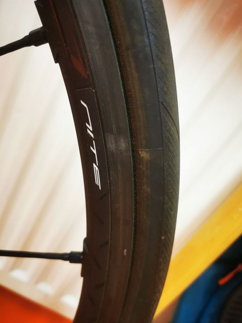 Specialized Smatwelo D´alusio