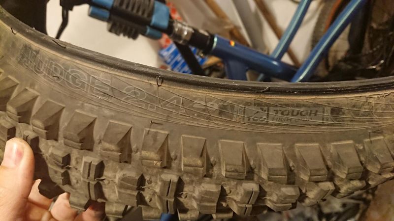 WTB Judge 29x2.4 tough/high grip