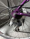 Trek kolo autor 