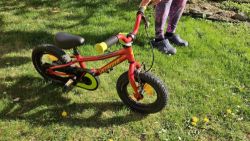 Specialized Riprock Coaster 12