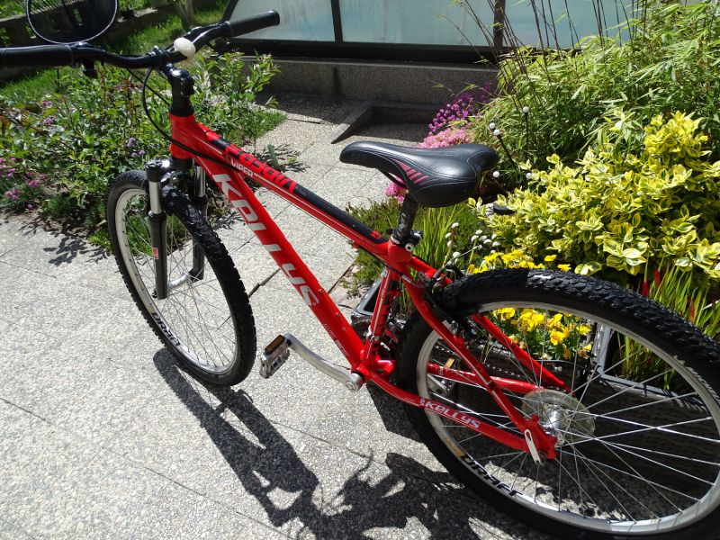 Juniorské kolo 26" Kellys Viper